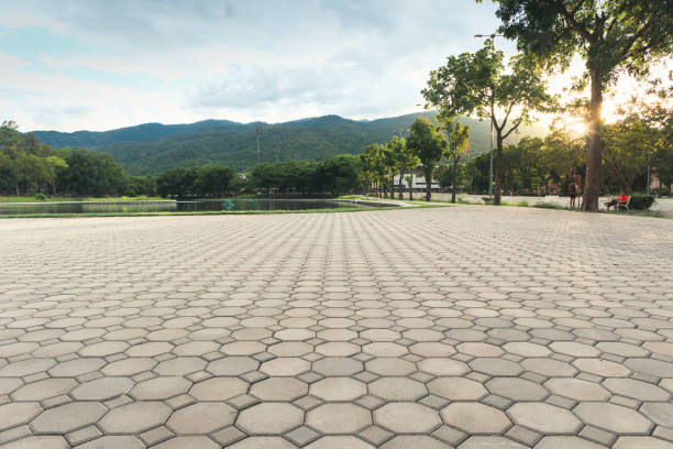 Best Residential Paver Driveway  in Chesapeake Beach, MD