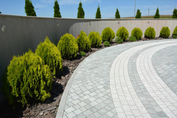 Best Custom Driveway Pavers  in Chesapeake Beach, MD